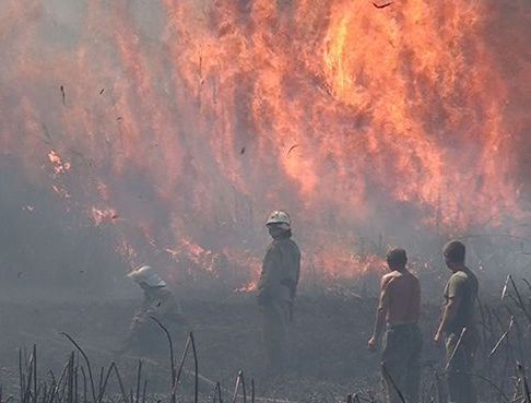 Пожар на реках Херсонщины: станет ли это частым явлением?