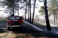 В Олешковском районе горел лес