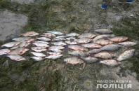 Новость Водная полиция Херсонщины задержала браконьеров в заповедной зоне