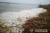 Новость На Херсонщині встановлюють причини масової загибелі риби