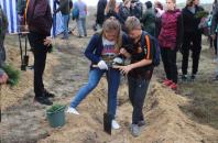 Новость Жители Херсонщины принимают участие в восстановлении Олешковского леса