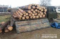 В Голопристанском районе установили три факта незаконной вырубки леса