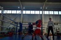 Областной чемпионат по боксу был проведен в Геническе