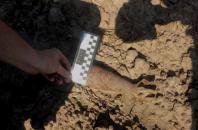 В районе монумента «Легендарная Тачанка» обнаружили минометную мину