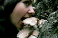 На Херсонщині 2 людини знаходяться у тяжкому стані від отруєння грибами