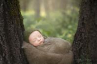 Новость Женщина с новорожденным ребенком жила в лесополосе