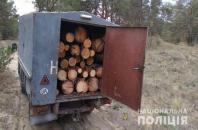 Голопристанская полиция предотвратила разворовывание леса