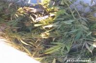 В Горностаевке полицейские нашли в автомобиле наркотики и оружие