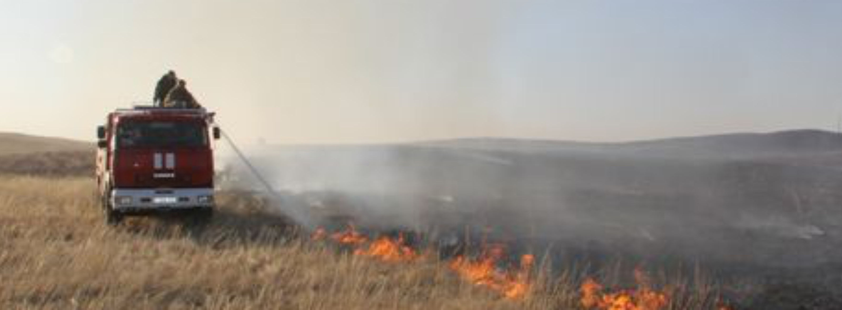 Новость Пожарные Херсонщины трижды за вчерашний день тушили экосистемы