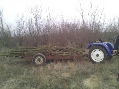 Новость На Херсонщине задержали трактор, груженный  лесом